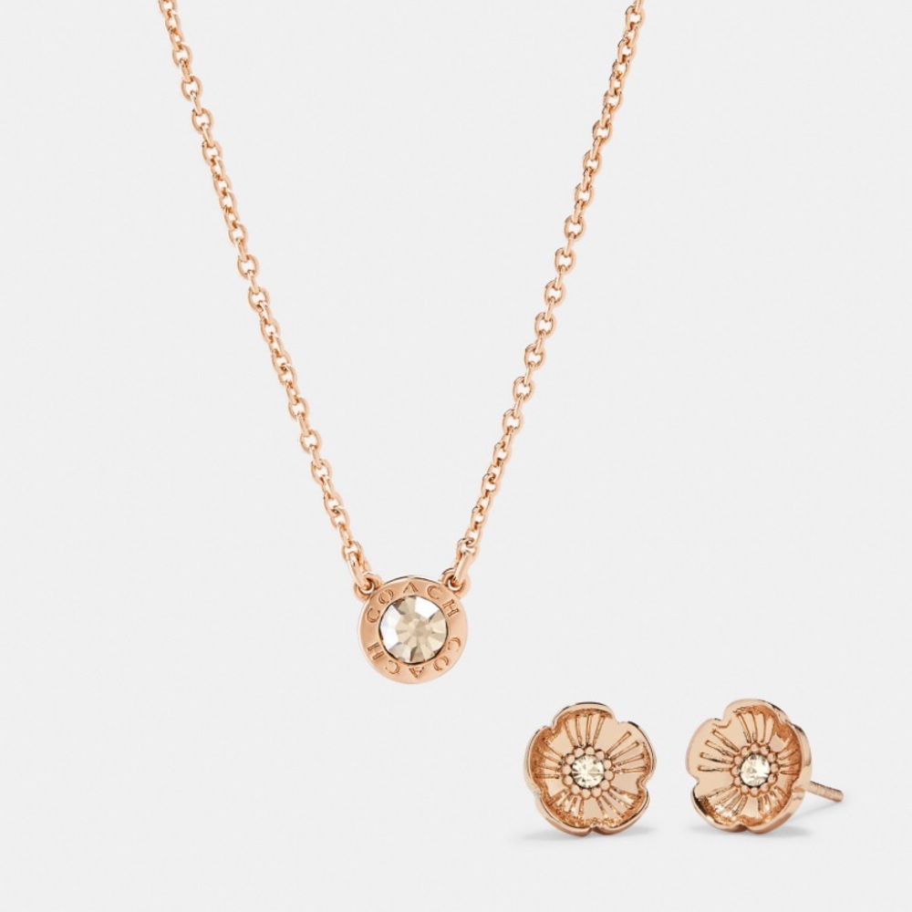 NWT Coach rose gold necklace and earring set
